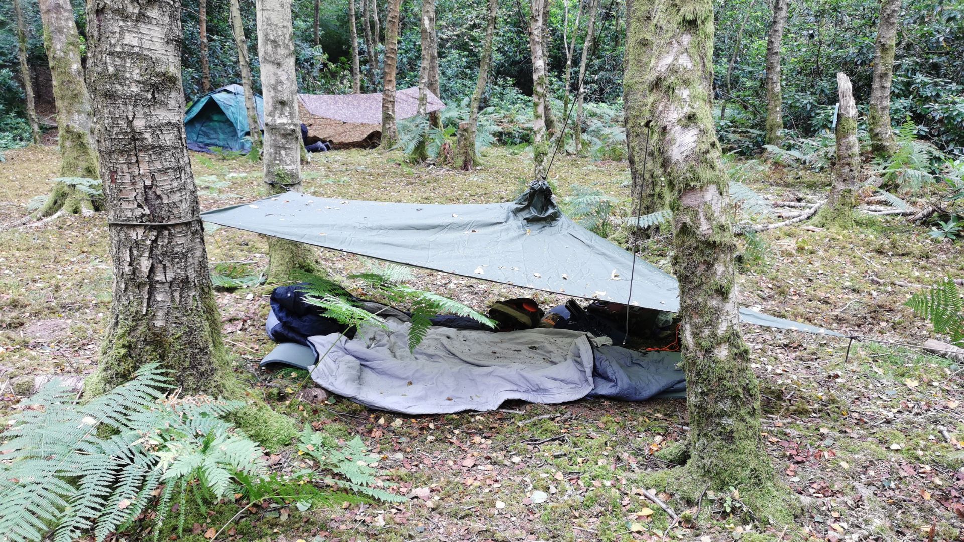 Into The Woods Shelter Building